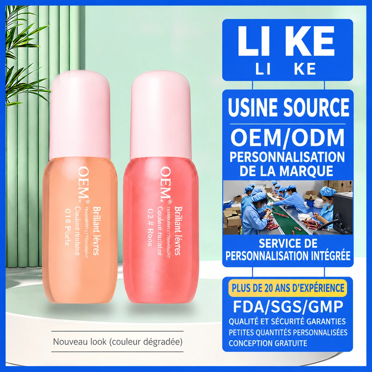 Custom Lip Gloss – Plumping Shine, Mirror Finish, OEM/ODM — Custom lip gloss with plumping shine, mirror-wet finish, and long-wear color – OEM/ODM from a trusted source.